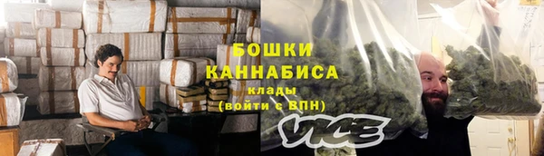 молекула духа Дмитров