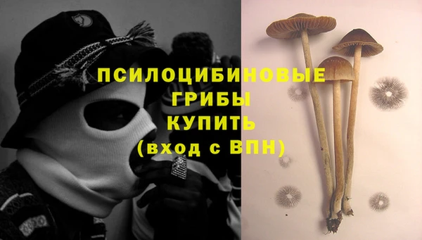 молекула духа Дмитров