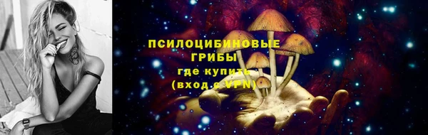 мдпв Дмитровск