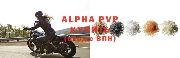молекула духа Дмитров