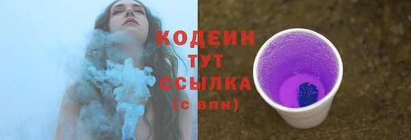 мдпв Дмитровск