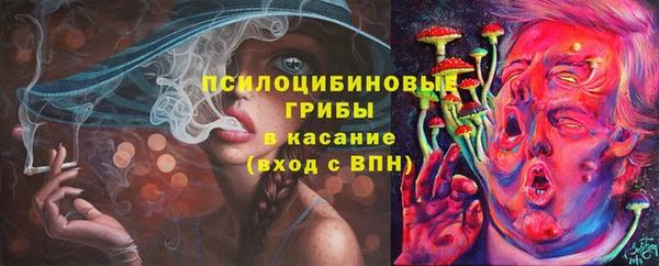 молекула духа Дмитров