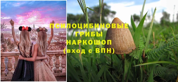 молекула духа Дмитров