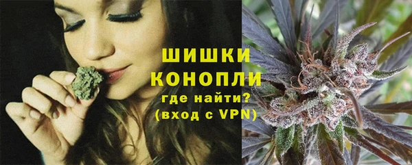 молекула духа Дмитров