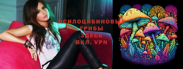 мдпв Дмитровск