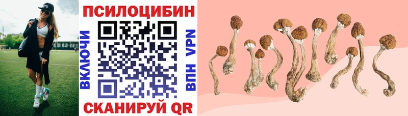 Галлюциногенные грибы GOLDEN TEACHER  Купить закладки  Зеленодольск 